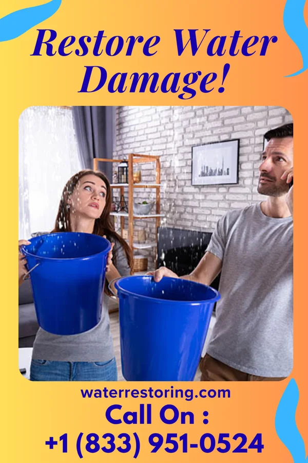 water restoration Central Water Mitigation Group Danvers