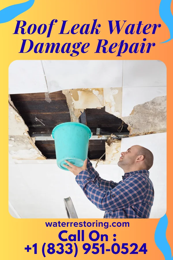 Roof Leak Water Damage Repair in Danvers, MT